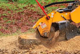 Best Lawn Renovation and Restoration  in Ganado, TX