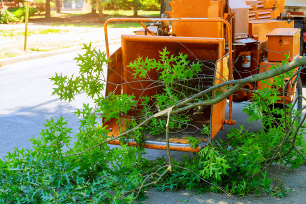 Best Lawn Watering Services  in Ganado, TX