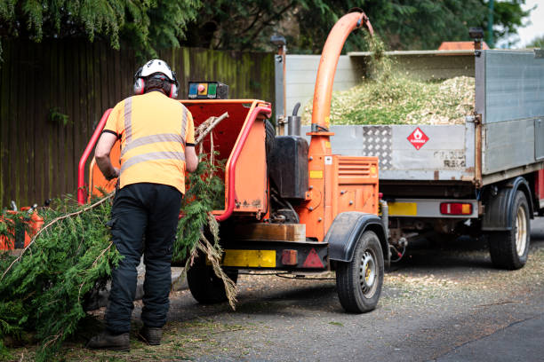 Best Firewood Processing and Delivery  in Ganado, TX