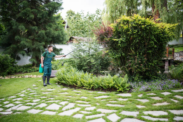Best Lawn Seeding  in Ganado, TX
