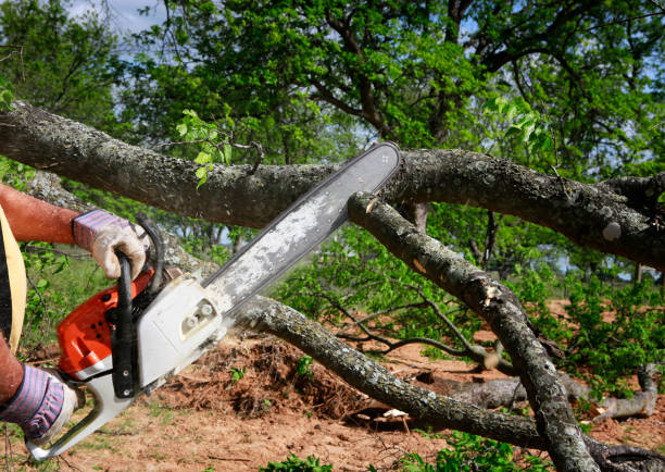 Lawn Grading and Leveling in Ganado, TX